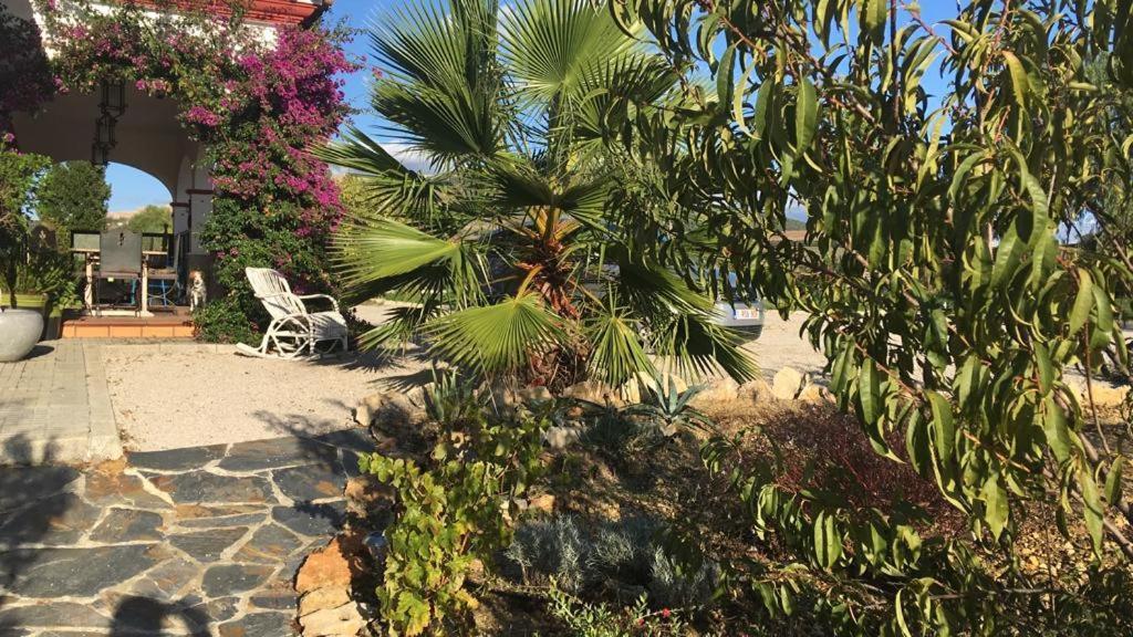 Villa Entre Mer Et Montagne Arcos de la Frontera Exteriér fotografie