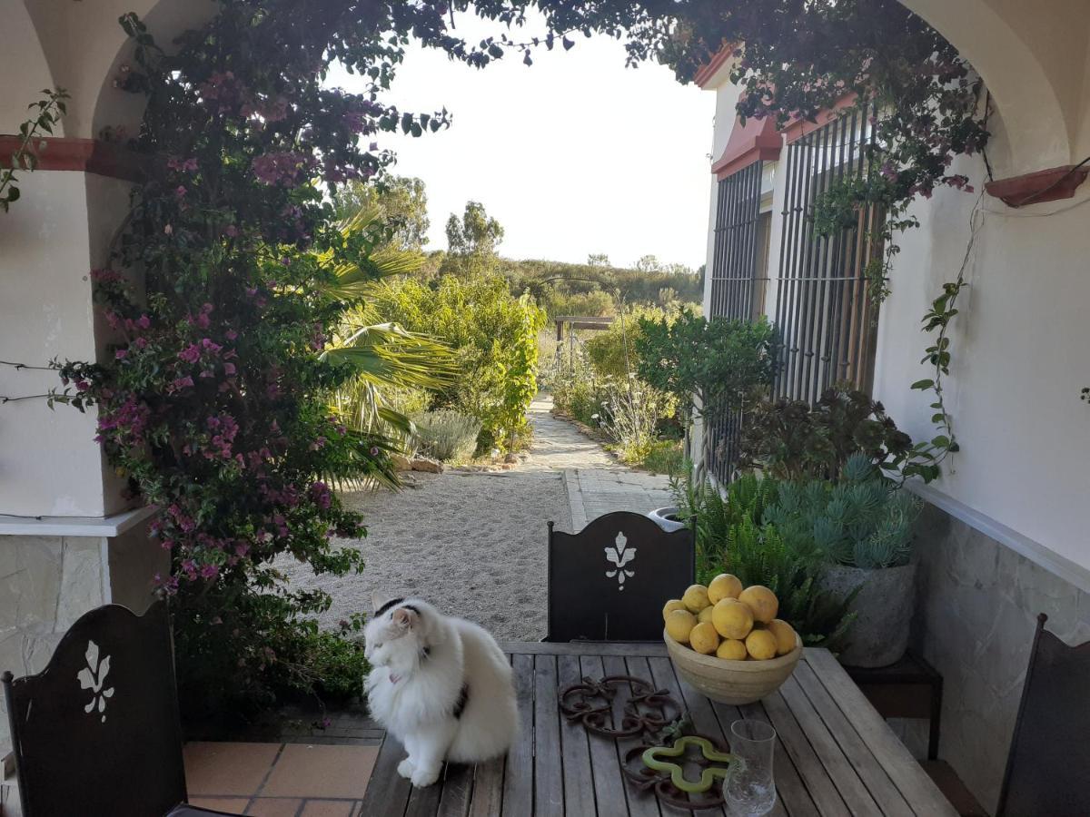 Villa Entre Mer Et Montagne Arcos de la Frontera Exteriér fotografie